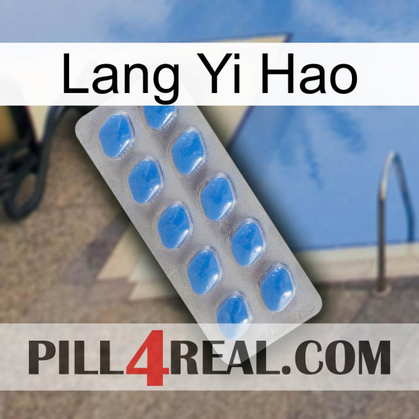 Lang Yi Hao 22.jpg